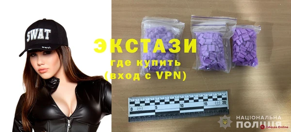 дживик Ельня