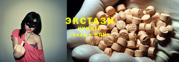дживик Ельня