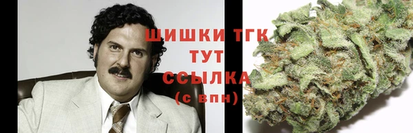 тгк Елабуга