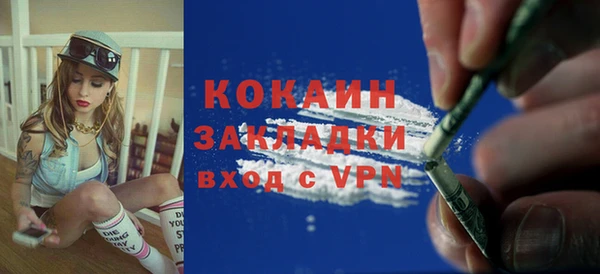 дживик Ельня