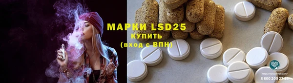 дживик Ельня