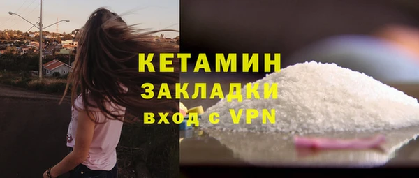 дживик Ельня