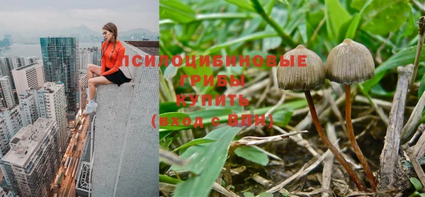 дживик Ельня