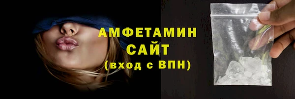 дживик Ельня