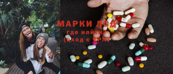 дживик Ельня