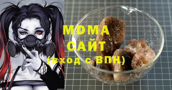 дживик Ельня