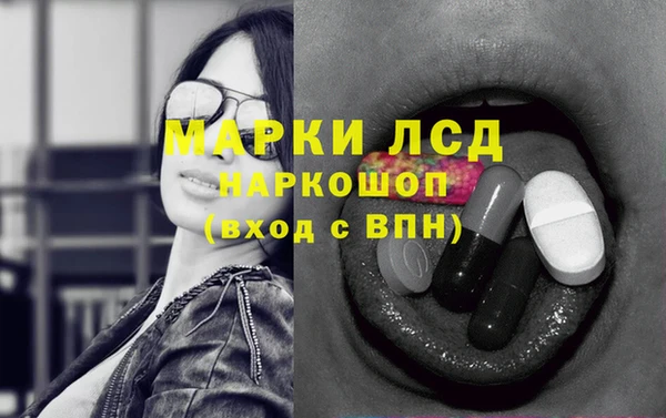 дживик Ельня