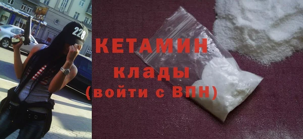 дживик Ельня