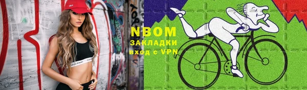 дживик Ельня