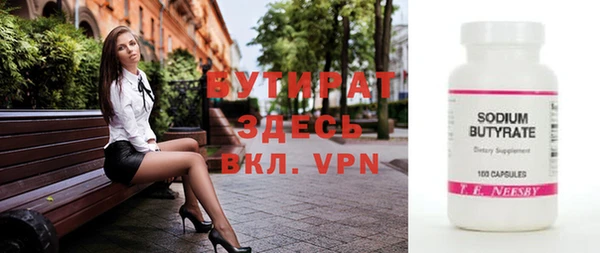 дживик Ельня