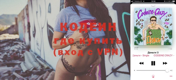 дживик Ельня
