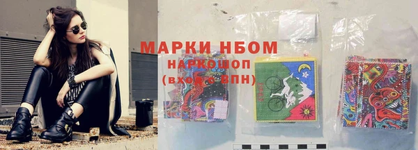 дживик Ельня