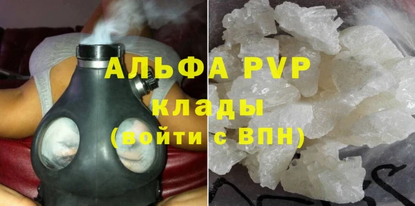 дживик Ельня