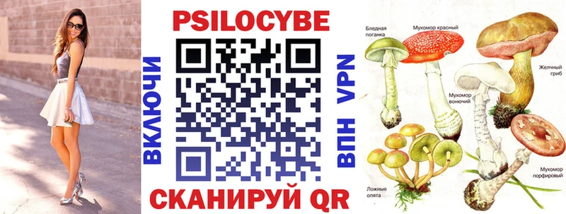 Псилоцибиновые грибы GOLDEN TEACHER  Купить где  Дубна 